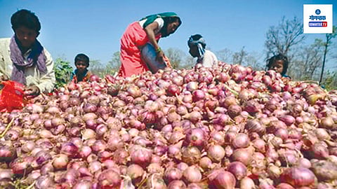Goa Onion Rates