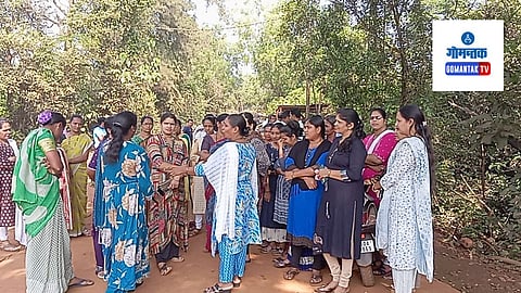 Pilgao Mining Protest, Vedanta Mining Dispute