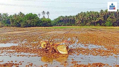 Goa Agriculture News