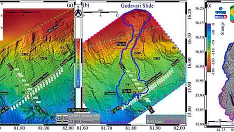 NIO Dona Paula scientific study