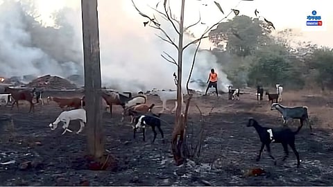 Bicholim Fire Incident