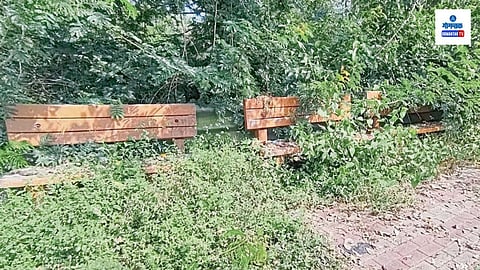 Vittalapur Karapur Bench Area