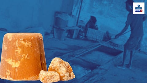 Cancona Jaggery Production