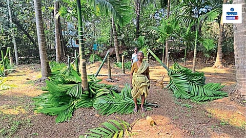 korgao farm cutdown incident