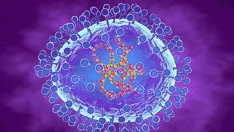 HMPV Virus