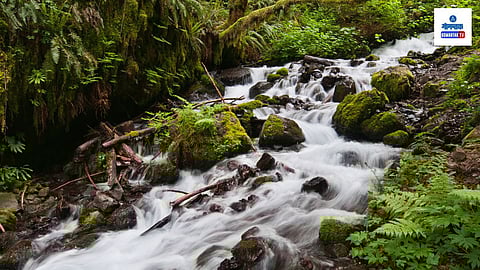 Siddhanath Parvat Goa
