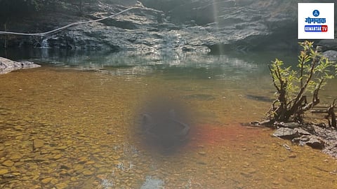 Sattari Drowning Case: पोहण्यासाठी गेलेल्या राजस्थानच्या पर्यटकाचा सत्तरी येथे नदीत बुडून मृत्यू