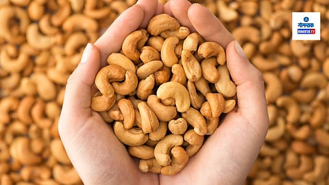 Goa Cashew Price