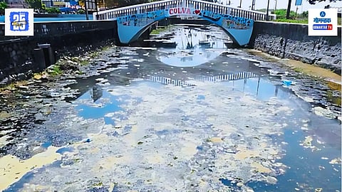 Colva Creek Pollution