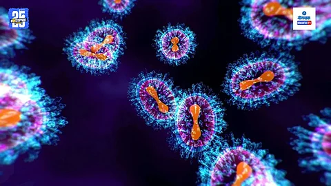 CAR-T Cell Therapy For Cancer
