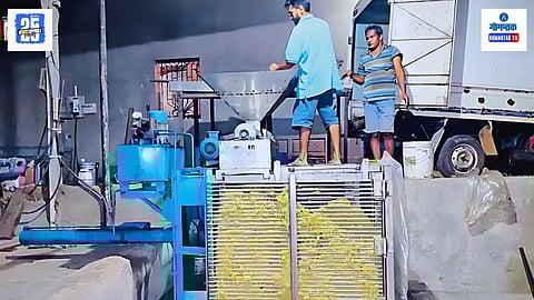 Cashew Feni Business in Goa