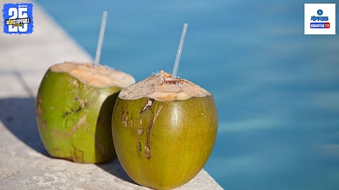 coconut Water