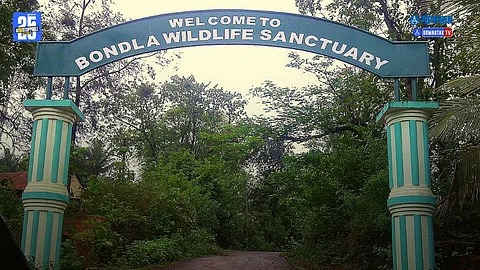 Bondla Zoo closed
