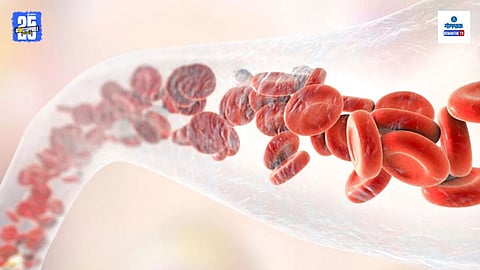 Hemophilia Symptoms And Causes