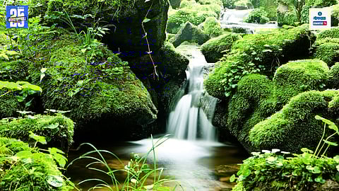 Water Stream