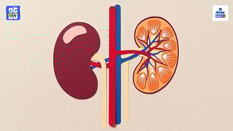 Why Kidney Transplant Is Needed