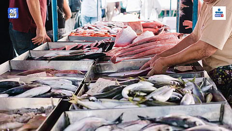 Matsya Haat Margao Fish Market