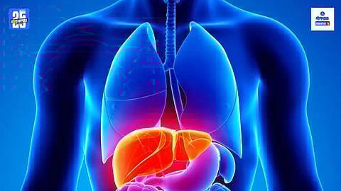 Liver Diseases
