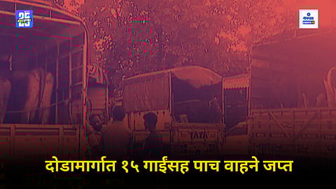 Illegal Cattle Transportation Goa