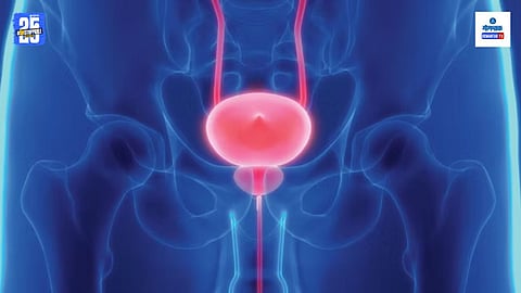 Painful Urination Causes