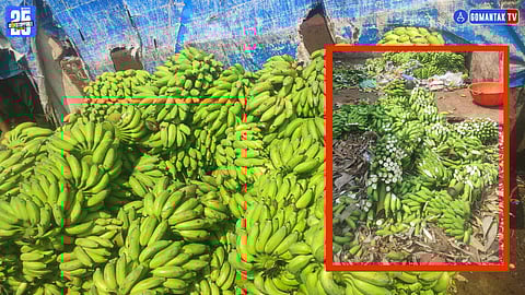 Mapusa FDA Raid