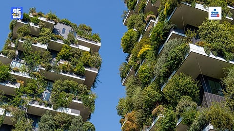 Vertical Forest Goa News