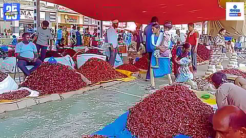 Goan seasonal red chilli