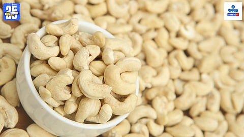 Silven Cashew brand launch Goa