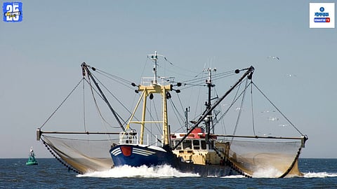 Goa LED fishing issue