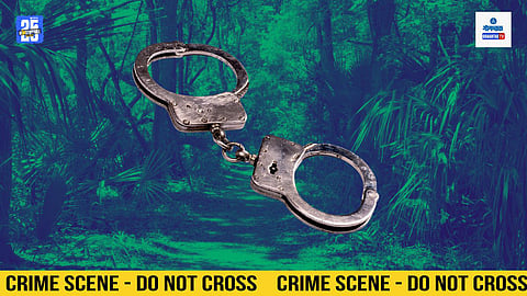 Mollem Forest Attack