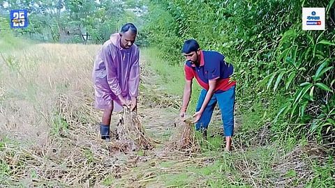 Sanguem Agriculture Loss