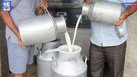 Goa Dairy