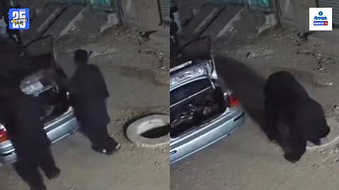 Viral Video