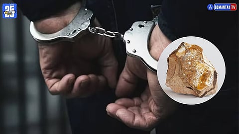 Goa Police Ambergris Case