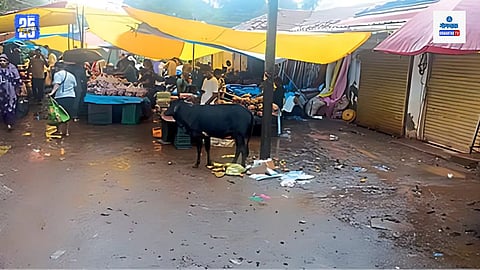 Sanguem Vegetable Market
