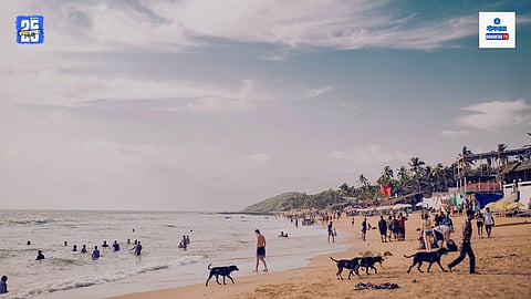 Goa Beach Coastal Erosion