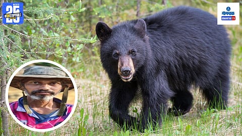 Wild Bear Attack In Dodamarg, Sindhudurg