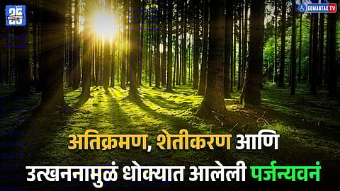 World Rainforest Day 2025