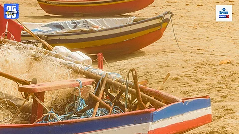 Boats