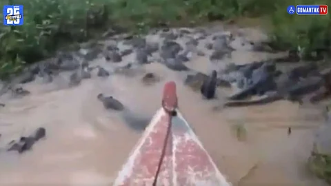 Viral Video