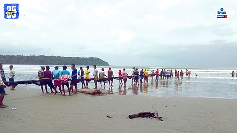 Goa rapan fishing