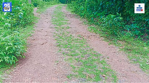 honda buimpal road repair