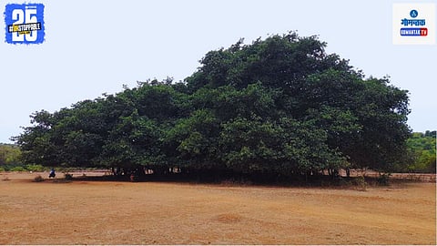 Paliem Village Goa, Palaye Village Goa