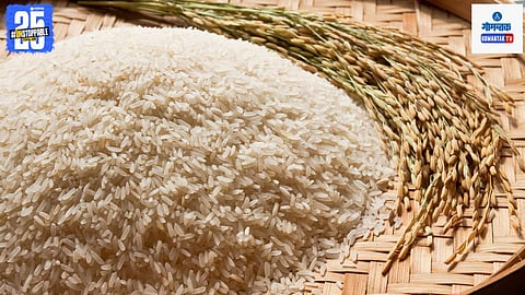 Goa Rice Farming