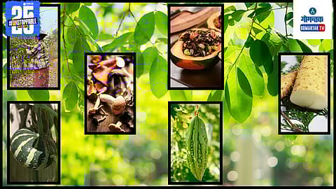 Goa Monsoon Wild Vegetables