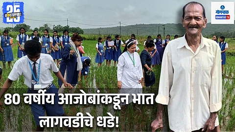 Rice Farming
