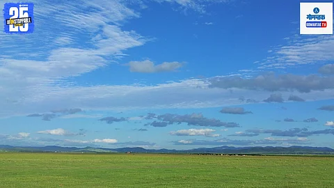 Green grasslands