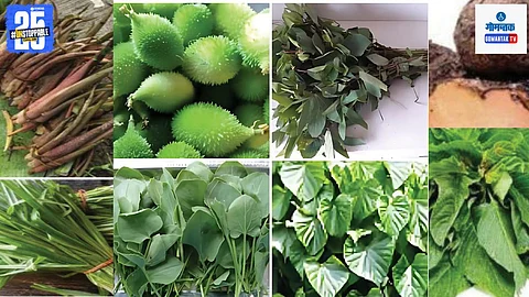 Goa Monsoon Wild Vegetables