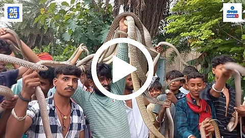 Nag Panchami Bihar tradition