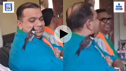 bird sits on minister shoulder